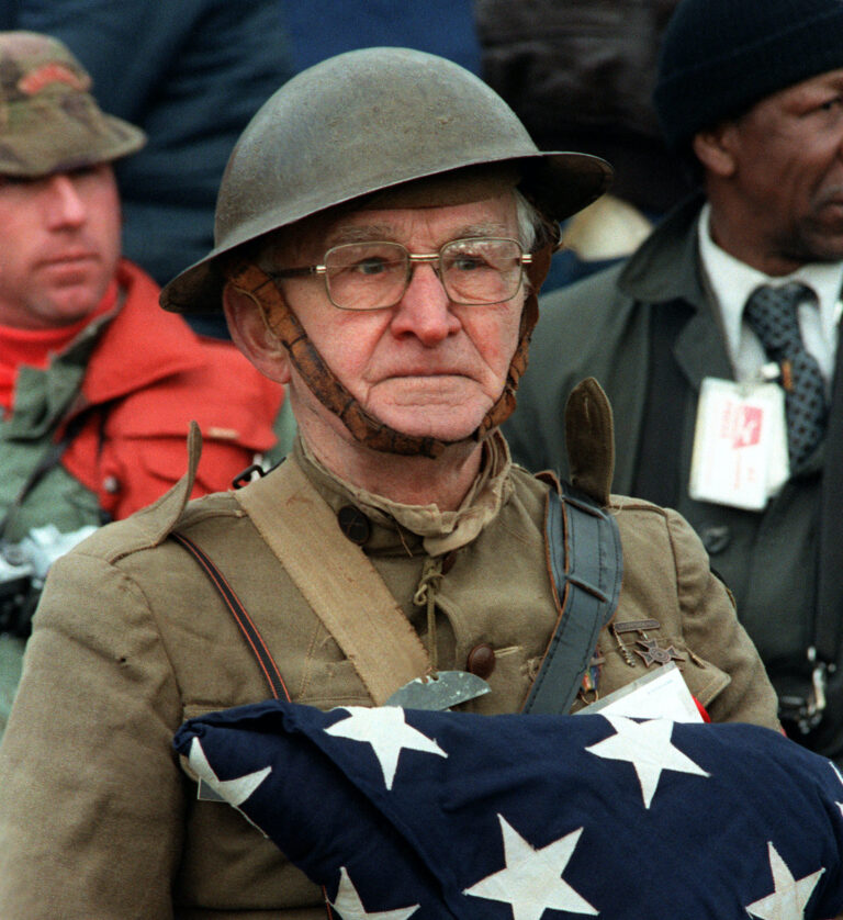 veteran's day new york harbor