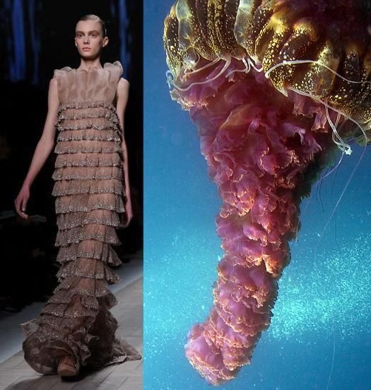 alexander mcqueen sea life collection